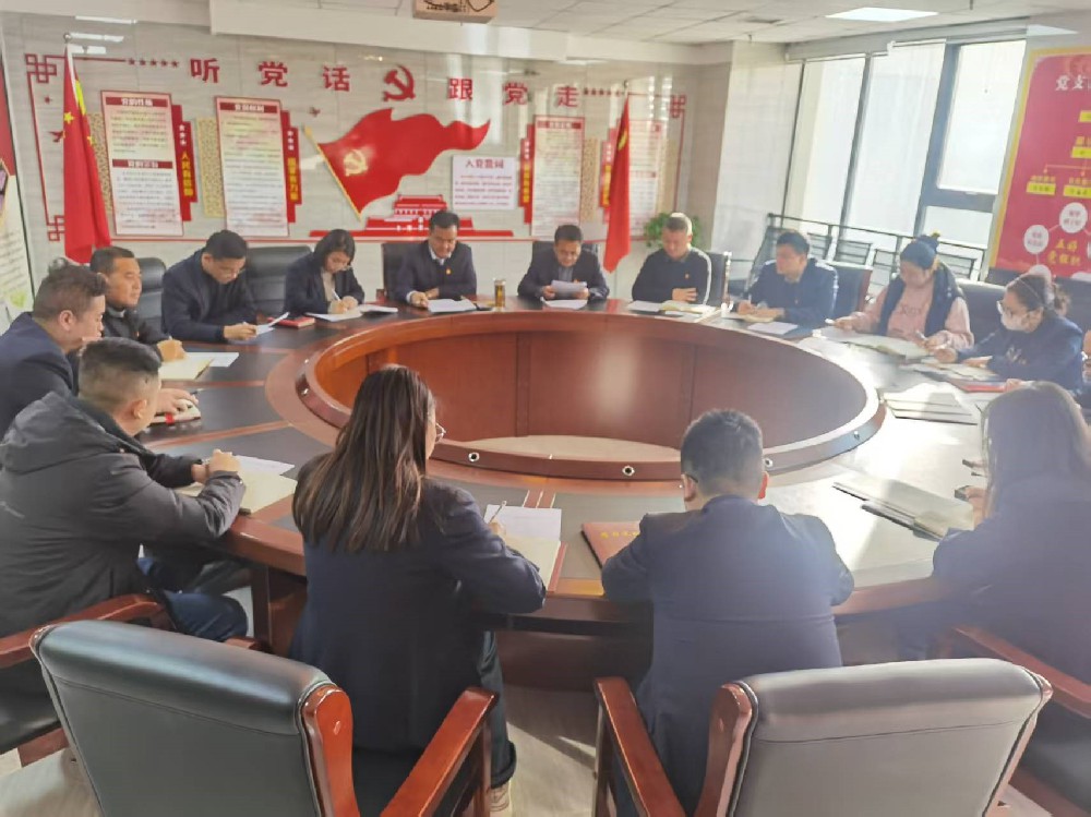 經發(fā)公司黨支部召開2025年度組織生活會暨民主評議黨員大會